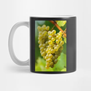 Ripening grapes on the vine Mug